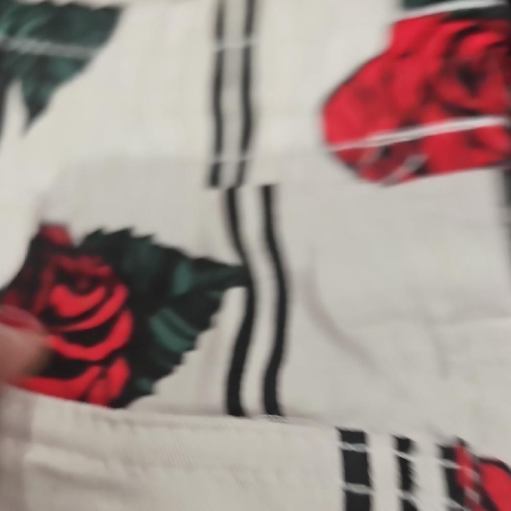Floral Striped Shorts with Red Roses - Picture 4 of 9
